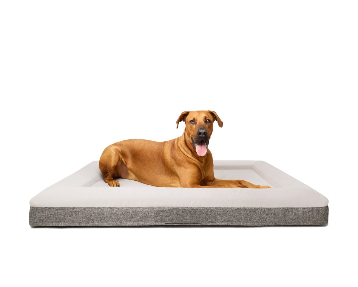 Orthopaedic Dog Bed | Extra Large