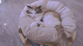 Load image into Gallery viewer, Timber Cat Nest
